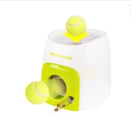 Automatic Pet Training And Feeding System