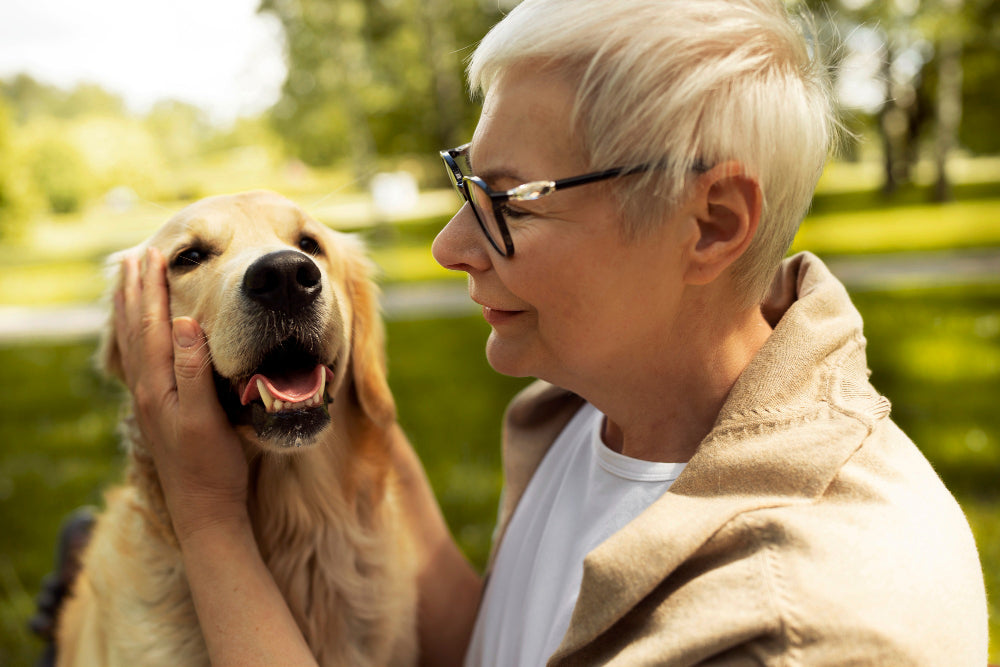 Pets And The Elderly