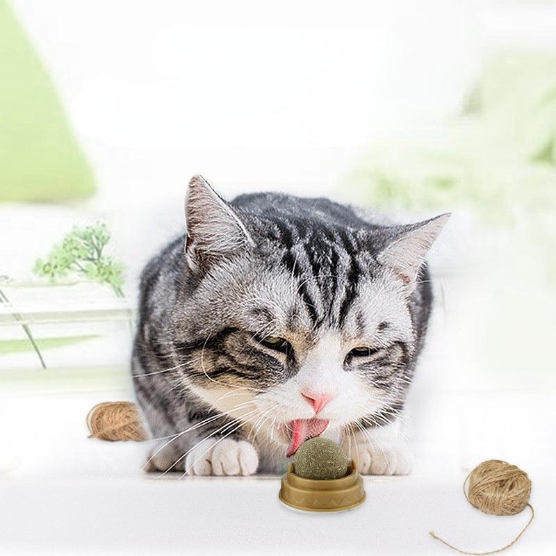 Minty Fresh Catnip Dental Treats - Rotary Molar Teeth Cleaning-2