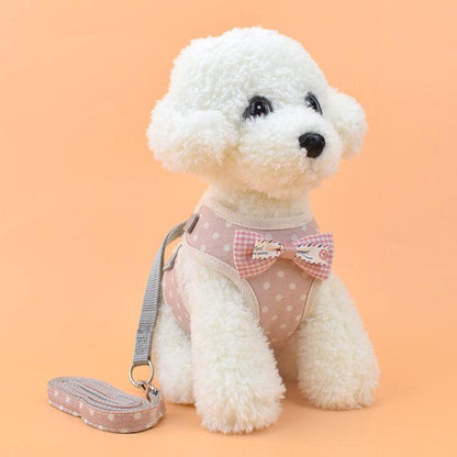 Pet Adventure Harness-11