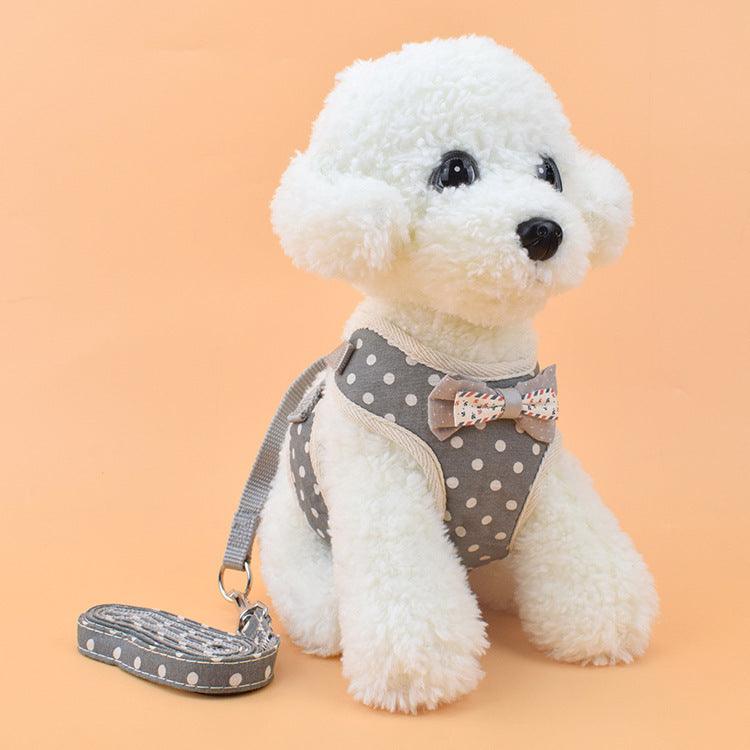 Pet Adventure Harness-3