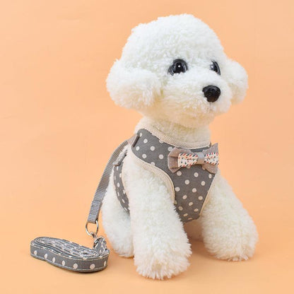 Pet Adventure Harness-3