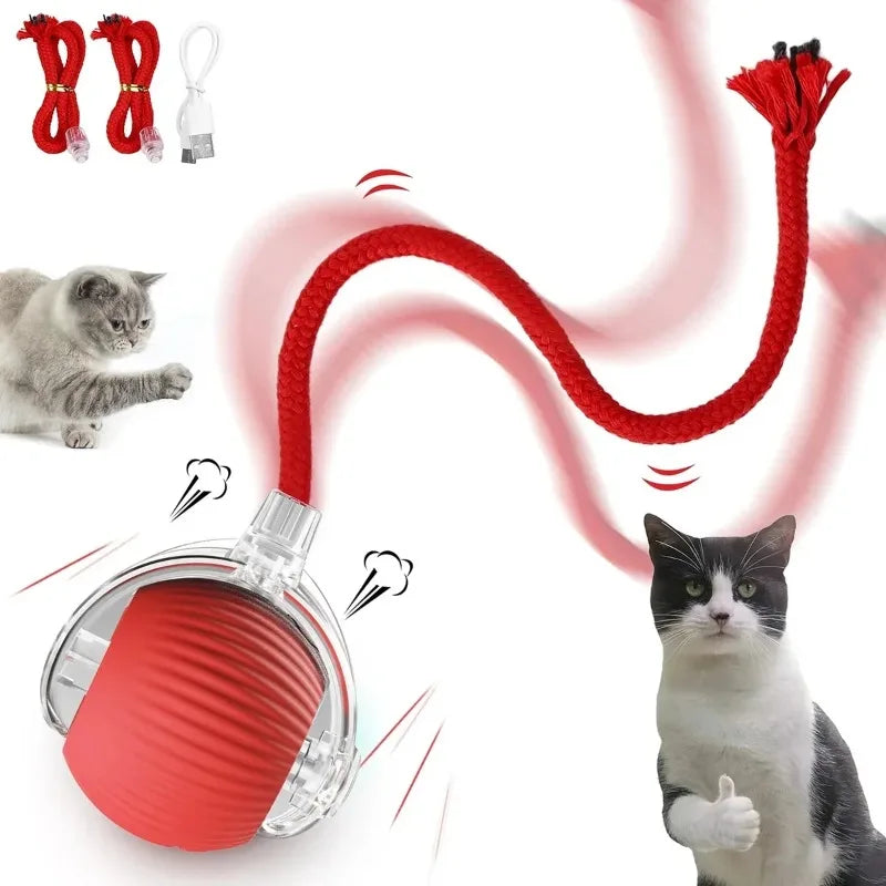 Interactive Rolling Ball Toy-0