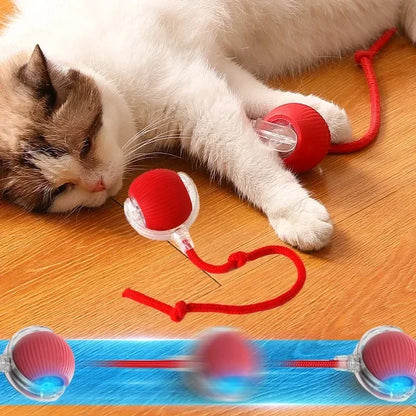 Interactive Rolling Ball Toy-1