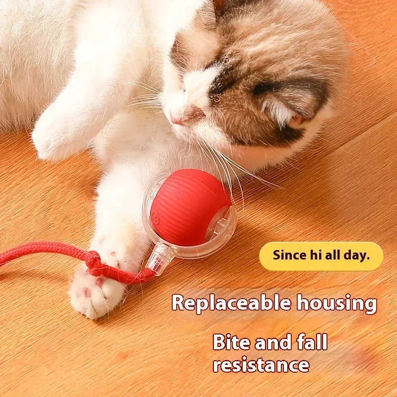 Interactive Rolling Ball Toy-2