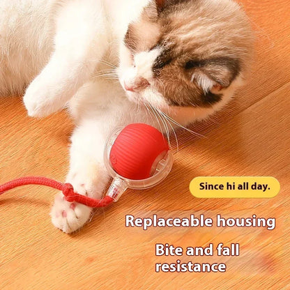 Interactive Rolling Ball Toy-2