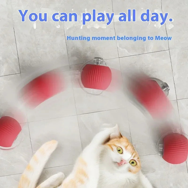 Interactive Rolling Ball Toy-3