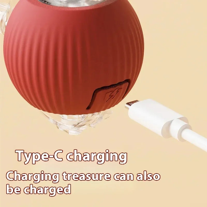 Interactive Rolling Ball Toy-4
