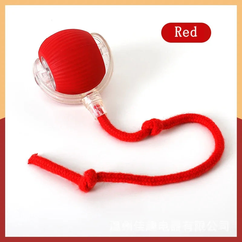Interactive Rolling Ball Toy-5