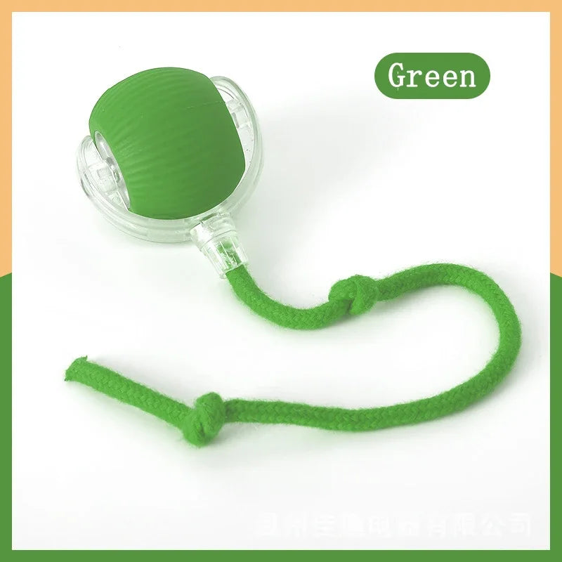 Interactive Rolling Ball Toy-6