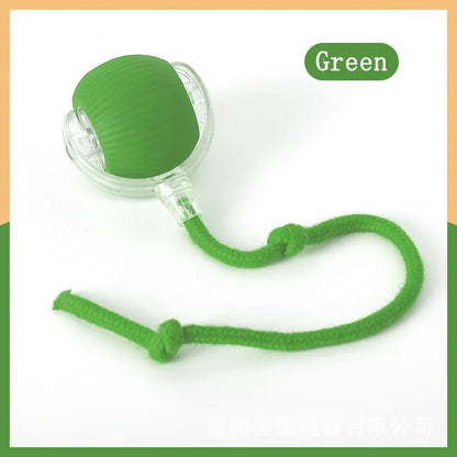 Interactive Rolling Ball Toy-6