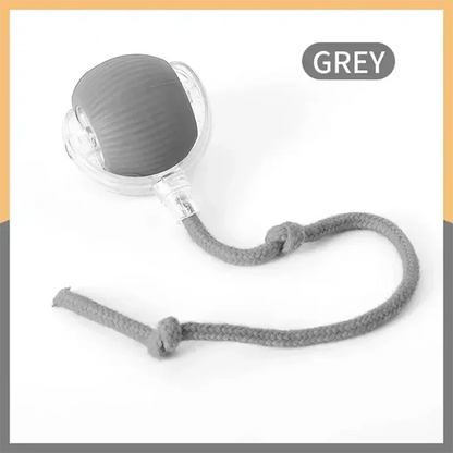 Interactive Rolling Ball Toy-7