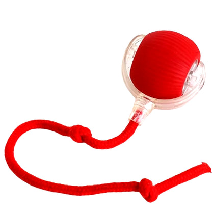 Lettuce Interactive Rolling Ball – Smart, Rechargeable Fun for Cats & Dogs