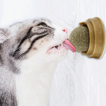 Minty Fresh Catnip Dental Treats - Rotary Molar Teeth Cleaning-0