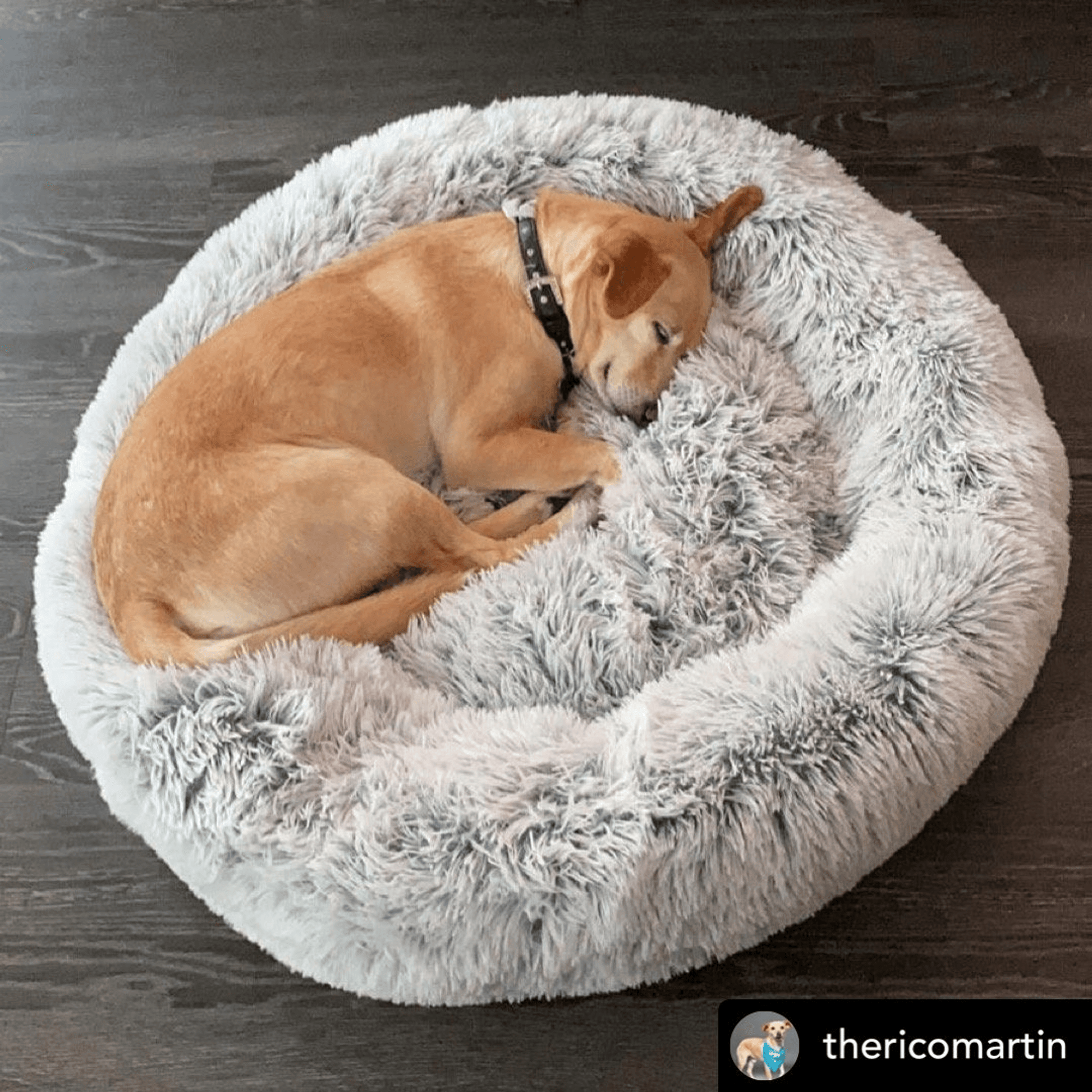 Mr. Peanut's Orthopedic Memory Foam Dog Bed for Senior Dogs