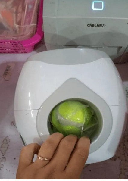 Automatic Pet Training And Feeding System