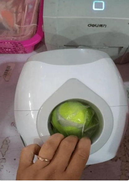Automatic Pet Training And Feeding System