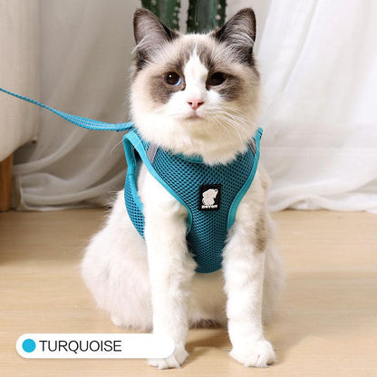 The Wanderlust Cat Adventure Harness-7