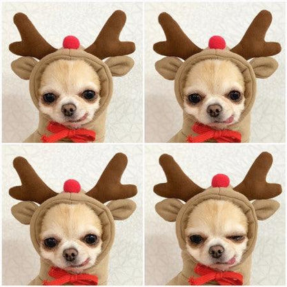 Cozy Love Sweater: Adorable Autumn And Winter Clothing For Small And Medium Dogs-8