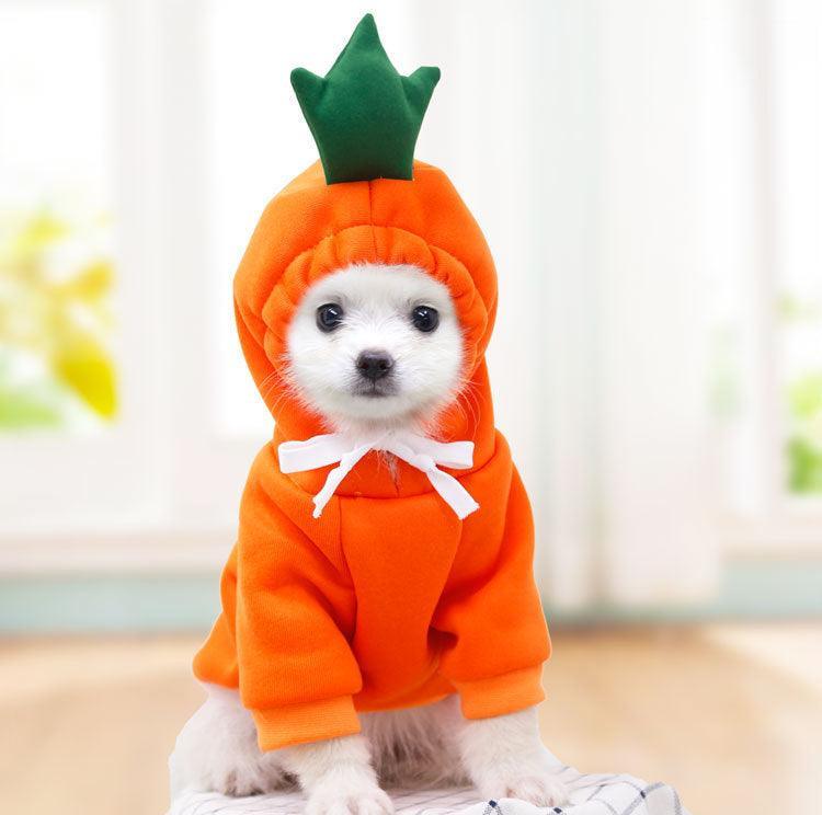 Cozy Love Sweater: Adorable Autumn And Winter Clothing For Small And Medium Dogs-6