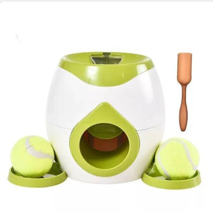 Automatic Pet Training And Feeding System