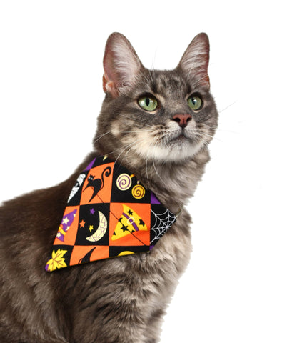Spooky Squares Pet Scarf-1