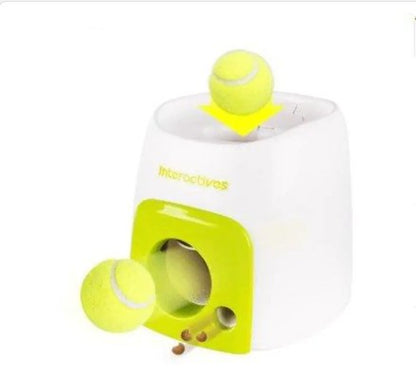 Automatic Pet Training And Feeding System